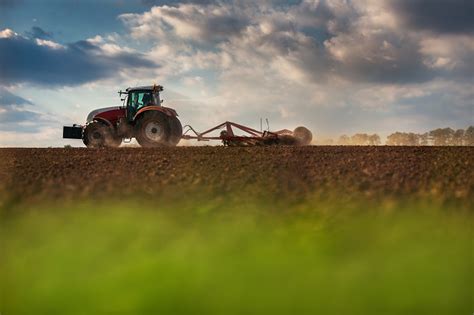 Ukrainian Farmers Will Once Again Change Their Crop Structure Ahead Of