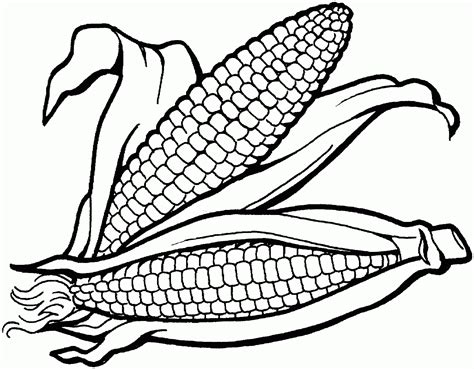 Corn Plant Drawing at GetDrawings | Free download