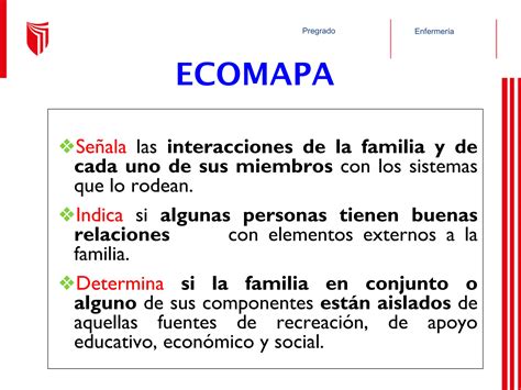 SESION 2 Instrumentos de intervención ficha familiar familiograma