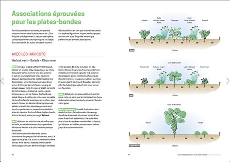 Les cultures associées au potager