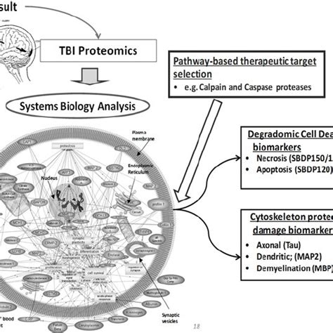 Systems Biologybased Therapeutic Target Identification And