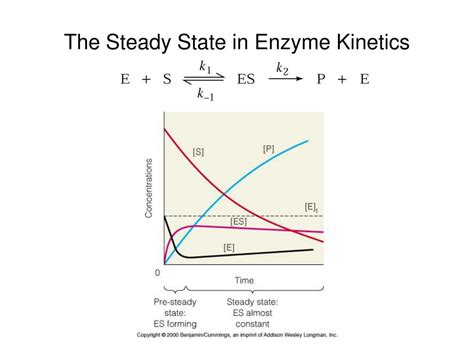 Ppt Enzyme Kinetics Powerpoint Presentation Free Download Id3195326