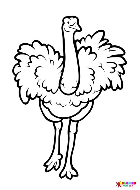 Ostrich Coloring Pages for Kids and Adults