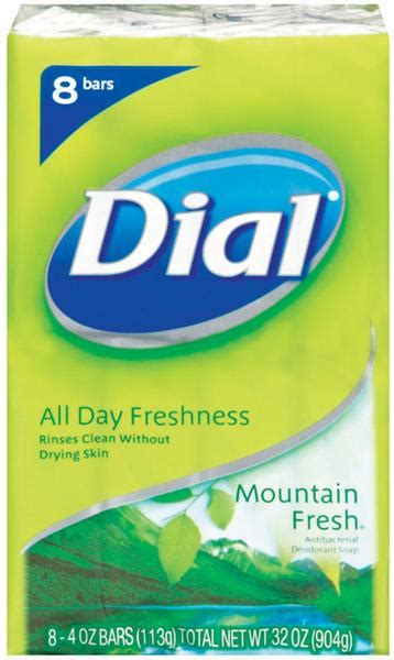 Dial Bar Mountain Fresh Antibacterial Deodorant Soap 8ct Hy Vee