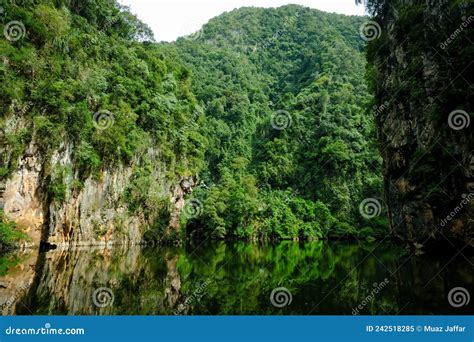 Greenery Scenery Of Mirror Lake Or Tasik Cermin In Ipoh Perak