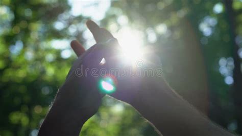Gay Couple Tenderly Stroking Hands In Sunlight Right To Same Sex Love Lgbt Stock Footage