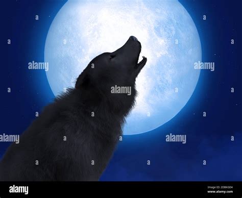 black wolf howling   red moon black wolf howls   thunder