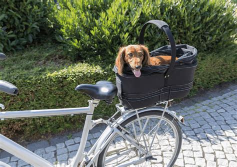 TRIXIE koszyk transporter torba kosz psa jamnika dwóch psów rower