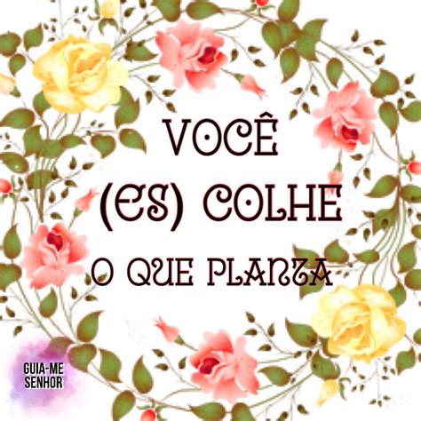 O Que Vc Planta Vc Colhe Versículo - Você Colhe O Que Planta Bíblia - RETOEDU