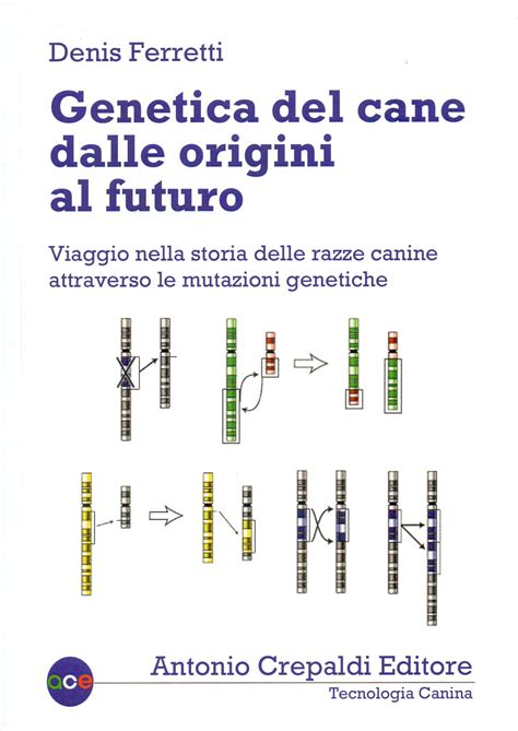 Genetica Del Cane Dalle Origini Al Futuro Viaggio Nella Storia Delle