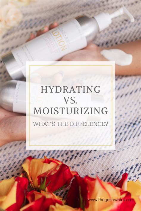 Hydrating Vs Moisturizing Whats The Difference The Yellow Bird