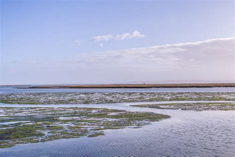 Saltmarsh Ian Capper Cc By Sa Geograph Britain And Ireland