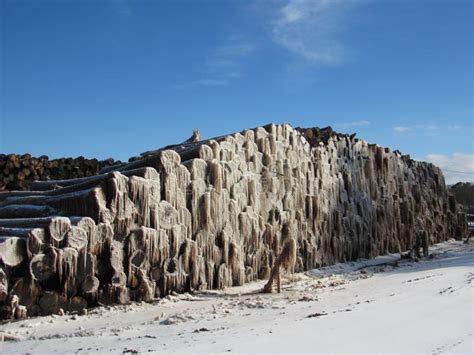 Close Up Ice Cycles on Big Tree Logs Stock Image - Image of badlands ...