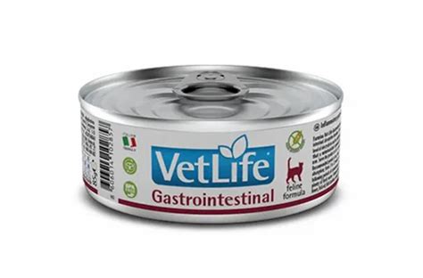 Farmina Vet Life Gastrointestinal Feline Formula Cat Wet Food Gm