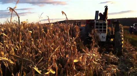 Oliver 1855 Picking Corn Youtube