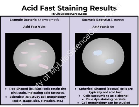 Acid Fast Results Color