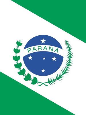 Bandeira Do Para Uma Face X Cm Compre Produtos