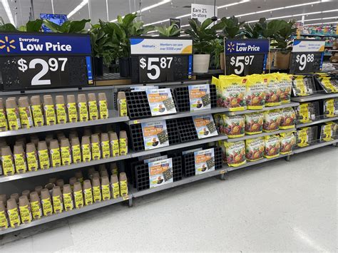 rent house in new bern nc