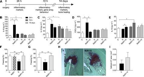 Maresin Attenuates Neuroinflammation In A Mouse Model Of