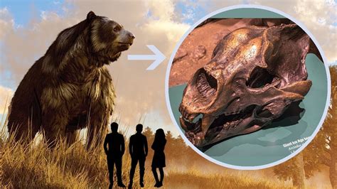 How Tall Was The Short Faced Bear The Top Answers Chiangmaiplaces Net