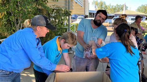 Cpc Napco Support Isisford With Meat Packs Queensland Country Life Qld