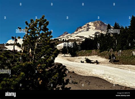 Mount Hood in Oregon Stock Photo - Alamy