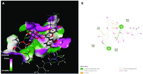 Three And Two Dimensional Interaction Of Rutin Ligand With Rdrp Enzyme