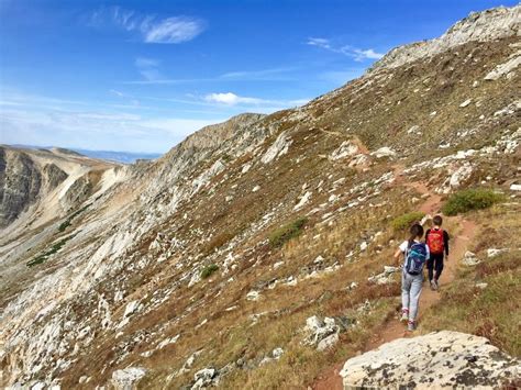 Medicine Bow Peak Trail 295 Hiking Trail Centennial Wyoming