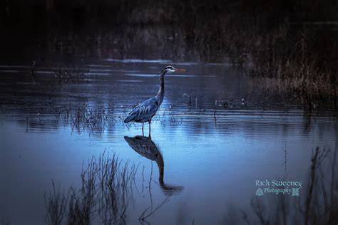 Duck River Unit Tennessee National Wildlife Refuge, a Tennessee ...