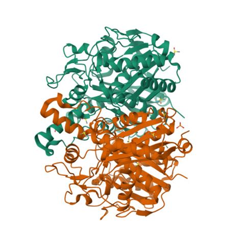 Rcsb Pdb Snc Pandda Analysis Group Deposition Crystal Structure