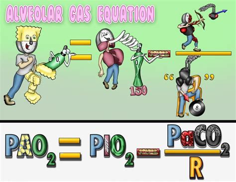 Alveolar gas equation | Osmosis