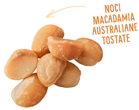 Salted Caramel Australian Macadamia Nuii