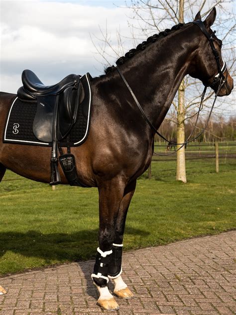 Saddle Pad Dressage Elite • PS of Sweden