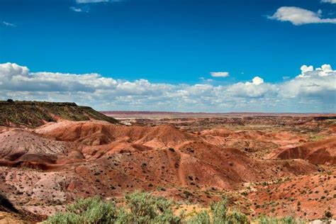 Excurs O De Udio Autoguiada Pelo Parque Nacional Da Floresta