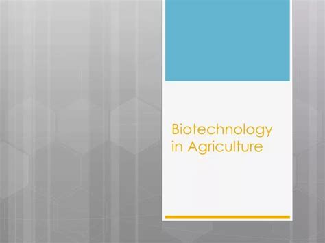 Ppt Biotechnology In Agriculture Powerpoint Presentation Free Download Id 1604811