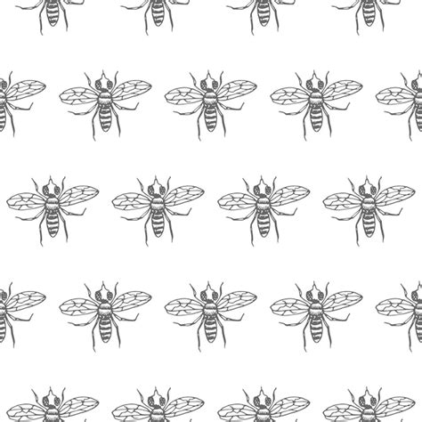 premium vector fly seamless vector pattern