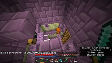 friend   orange shulker    city