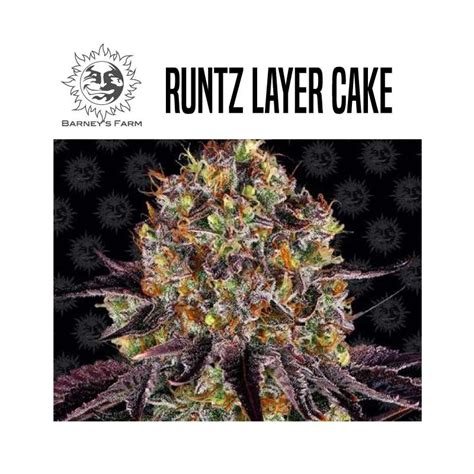 Runtz Layer Cake