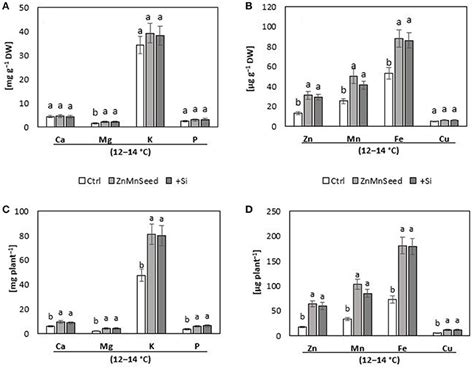 Frontiers Silicon Improves Chilling Tolerance During Early Growth Of