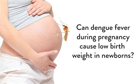 Can Dengue Fever During Pregnancy Cause Low Birth Weights In Newborns Ck Birla Hospital