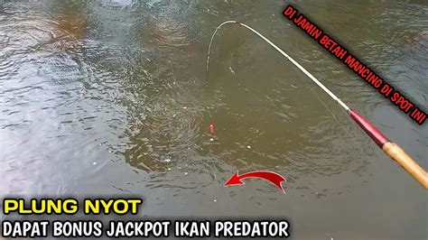 Rejeki Mancing Uceng Dan Wader Tepat Di Sarangnya Bonus Jackpot