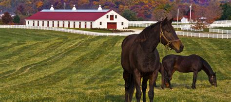 Purchasing Equine Property Field Sport Concepts Ltdfield Sport