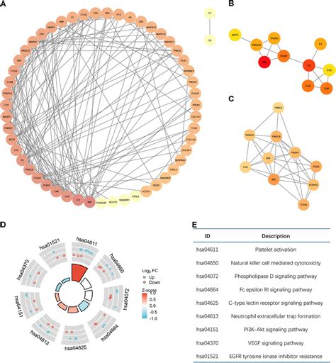 Frontiers Unraveling Breast Cancer Prognosis A Novel Model Based On