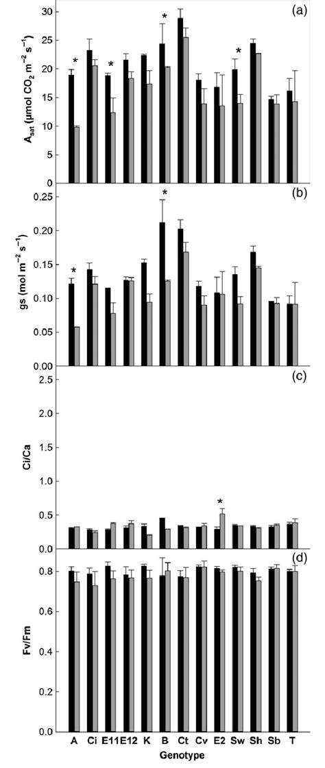 A Leaf Level Co Assimilation Rate A Sat B Stomatal Conductance