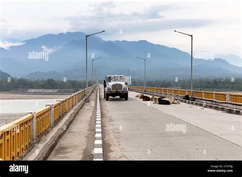 Traffic on Reneghat bridge crossing Brahmaputra river, truck passing sitting cows, Pasighat ...