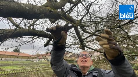 Roland Motte jardinier la taille du pommier Vidéo Dailymotion