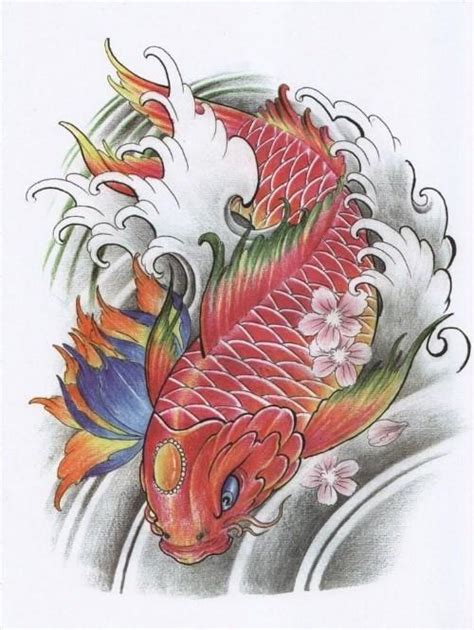 Wow 11 Gambar Sket Tato Ikan Koi