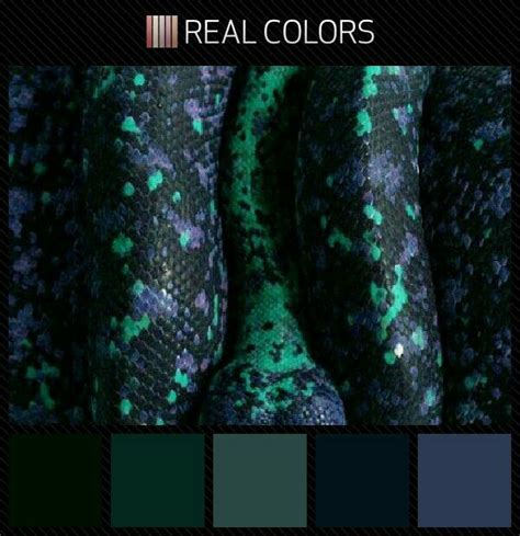 Black purple & green snake. Color palette swatches | Palheta de cores, Cores, Desenhos interessantes