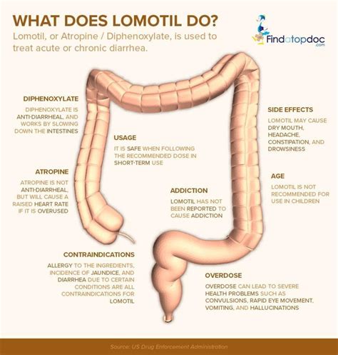 Lomotil (Diphenoxylate + Atropine) Oral: Uses, Dosage & Side Effects