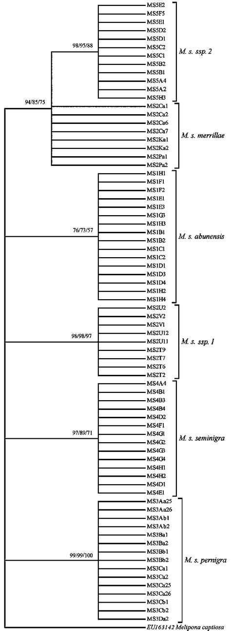 Dendrogram Based On The Neighbour Joining Tree For Subspecies Of